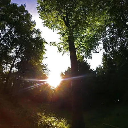 Apartment Zum Bachrauschen Willingen (Upland)