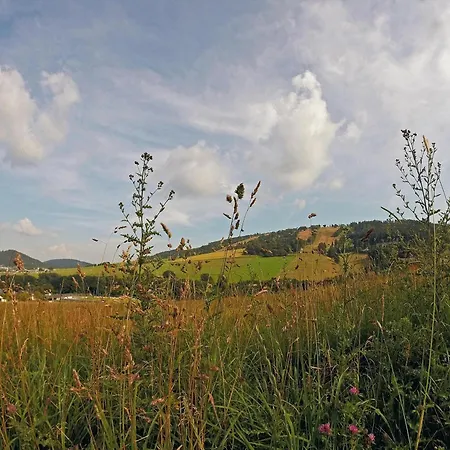 Apartment Zum Bachrauschen